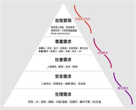 金字塔老鼠會|金字塔銷售計畫:概念,由來,特徵,運作,舉例,解析,